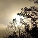 Surreale Stimmung 