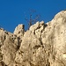 Blaubeurer Albfelsen