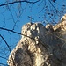 Blick zum "Gipfel" des Kreuzfelsens. Der Name ist Programm.