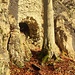 Günzelburg - Mauerwerk scheint mit dem natürlichen Fels zu verschmelzen.