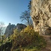 Fels-Abri mit Küssender Sau. Die Gegend um Blaubeuren war auch vor 40.000 Jahren ein Hotspot der Kultur - hier wurde die Kunst erfunden!
