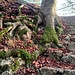 Günzelburg, Details