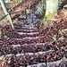 Und wieder die Treppe hinunter...