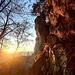 Sonnenuntergang bei der Brillenhöhle.