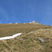 steile Grasflanken am Südhang des Schafberges