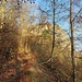 Blick zurück 