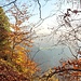 Herbstwald 