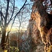 Felsen bei der Brillenhöhle.