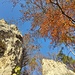 Herbstfarben