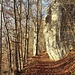 Der erste größere Felsen.