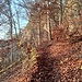 Bei der Brillenhöhle