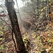 Der Wanderweg auf der anderen Seite der Günzelburg-"Überschreitung".