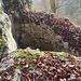Mauerreste. Die Günzelburg wurde als Höhenburg hoch auf einem Felsen (685 m) Ende des 13. Jahrhunderts/Anfang des 14. Jahrhunderts errichtet.