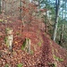 Und zurück bergan Richtung Felsenlabyrinth.