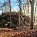 Blick zur Günzelburg.