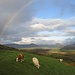 Regenbogenspektakel auf Killeenleagh zu ...