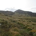 Hinauf jetzt zum Windy Gap (398 m) Rechts der Eagles Hill (549 m)