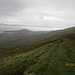 Unter mir die Kenmare Bay. Ich habe die Südseite von Iveragh erreicht, und es geht auf Caherdaniel zu