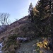 bivio appena dopo la panchina in legno, si prosegue salendo diritti (no a destra)