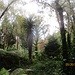Unglaublich, mitten im Tropenwald ;-)!