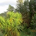 Im Garten des Greenwood Hostels