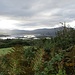 Kenmare Bay mit vielen Inselchen