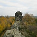 Blick vom Kamel-Rumpf nach Osten zum Dromedar.
