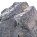Blick vom Dromedar-Schwanz zum Dromedar-Rumpf. In der geradeaus sichtbaren Verschneidung soll laut thecrag.com eine Aufstiegsroute mit UIAA I sein, mir erschien sie aber deutlich schwieriger.
