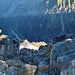 im Abstieg Tiefblicke ins Gasterntal 