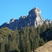 Elsspitze im Zoom
