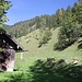 im Gießenbachtal