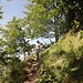 auf schönem Waldsteig bergan
