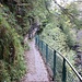 und zuletzt die Gießenbachklamm