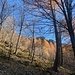 Sous l'alpe dell'Efra, nous atteignons enfin le soleil
