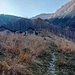 Passaggio per l’Alpe Basseno su sentiero bello ripido; da qui il sentiero volge a sinistra per salire ad un valico che poi porta all’Alpe Ompio.
