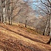 Quando il sentiero si sposta sui versanti soleggiati, tutto diventa più colorato; sulla sinistra si possono vedere i resti di un basamento dell’antica teleferica che trasportava il legname da Orfalecchio alla Val d’Ossola, passando per la Colma di Vercio. E anche se gli scenari sono piacevoli, non bisogna mai distrarsi più di tanto sui sentiero valgrandini, qui infatti, nonostante abbia percorso questa discesa diverse volte, ad un certo punto ho capito che ero fuori tracciato (le foglie cadute spesso nascondono i segnavia) e, grazie alla mappa dei sentieri che ho su OruxMaps, ho recuperato il giusto tracciato ritornando brevemente sui miei passi.