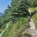 Der einfache Weg zum Monte Censo
