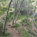 Der unangenehm flache Weg nach Vantone
