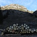 der Wald stirbt unterm Piz Meda