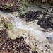 Stufen kurz oberhalb des Wasserfalls