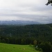 Ausblick