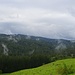 fetzig