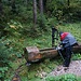 im Farnbachtal