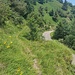Abzweig von der Strasse