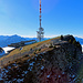 Auf dem Niederhorn.