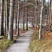 Rückblick.