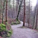 Panoramaweg.