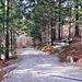 Forststraße  von Wallgau, Zustieg zur Hütte kürzer.