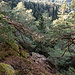 Gipfelblick vom namenlosen Zacken.