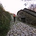 La bella strada lastricata che sale da Cabbio.